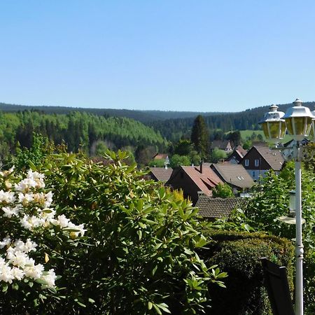 Pension Haus Petra Altenau  Exteriér fotografie