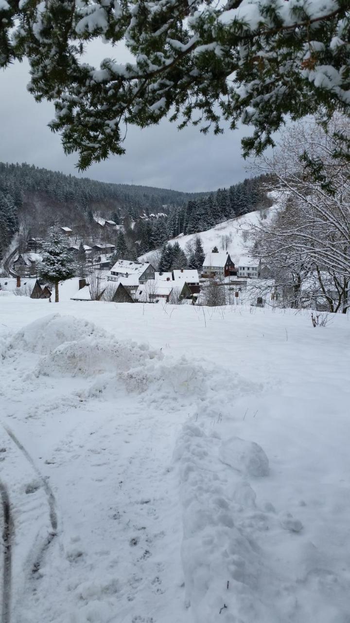 Pension Haus Petra Altenau  Exteriér fotografie