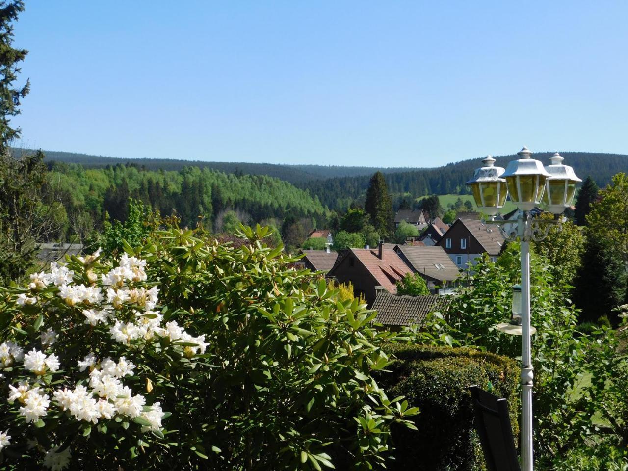 Pension Haus Petra Altenau  Exteriér fotografie